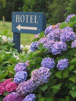 Hotel Penmaenuchaf Dolgellau